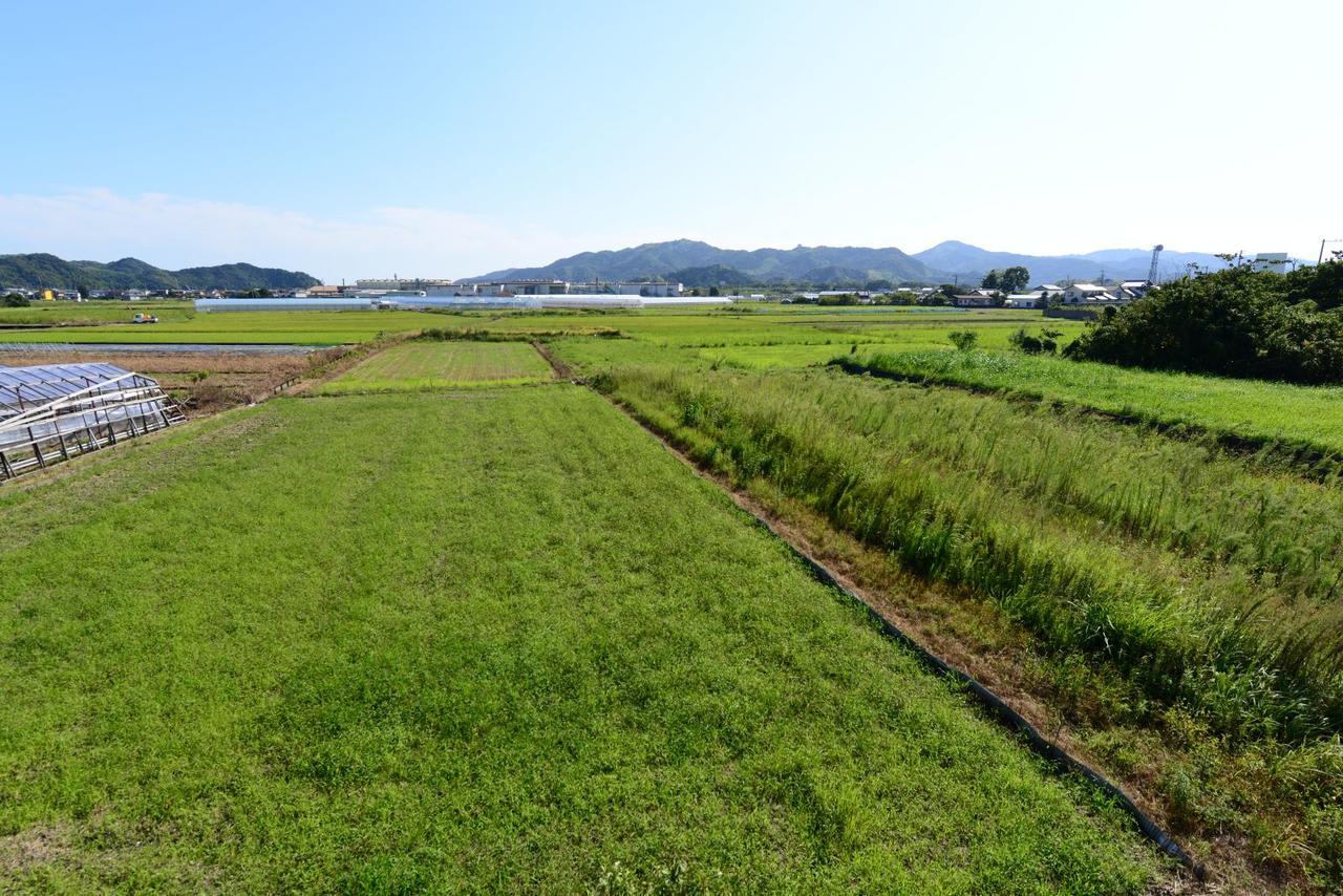 Haruno Guesthouse Kōchi Esterno foto